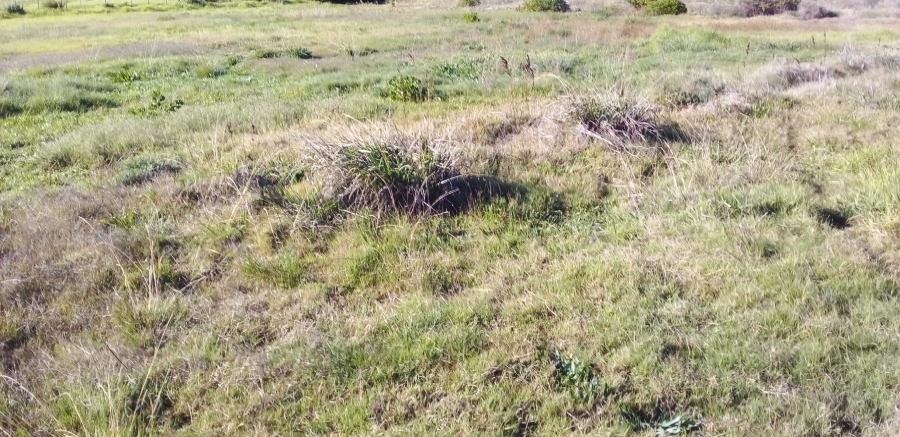 0 Bedroom Property for Sale in Albertinia Western Cape